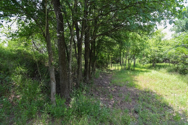 813 Sam Bass Rd, Mcgregor, TX 76657 - view of wooded area