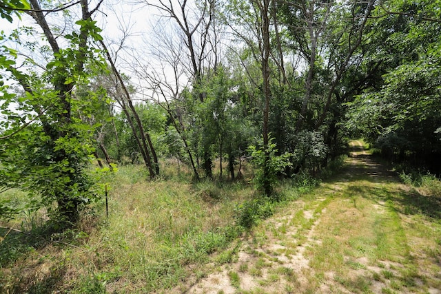 813 Sam Bass Rd, Mcgregor, TX 76657 - view of woods