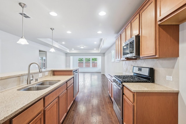 7789 Gulf Breeze Ln, Frisco, TX 75036 - kitchen with stainless steel appliances, a sink, a tray ceiling, dark wood finished floors, and decorative backsplash