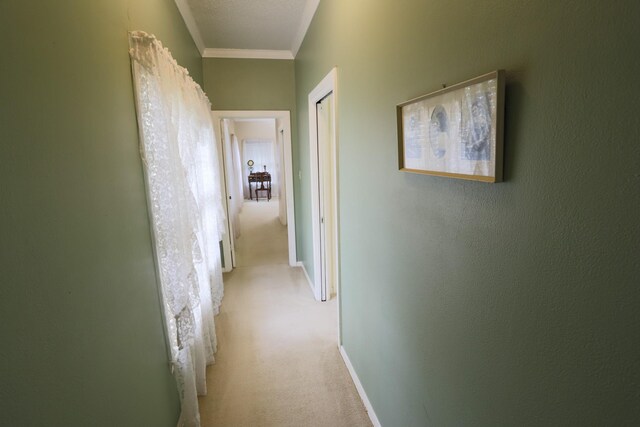 1000 S Harrison St, Mcgregor, TX 76657 - hall with light colored carpet and ornamental molding