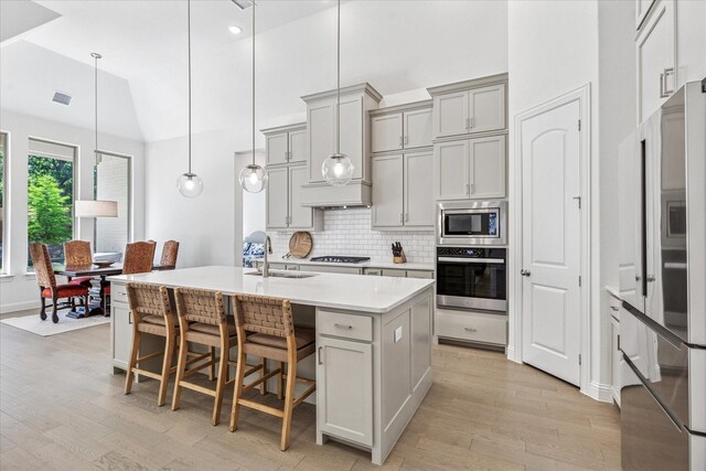806 Placid Way, Argyle, TX 76226 - kitchen with appliances with stainless steel finishes, a sink, gray cabinetry, high vaulted ceiling, and light wood-style flooring