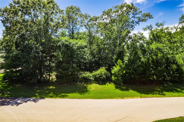LOT137 Waters Edge Dr, Larue, TX 75770