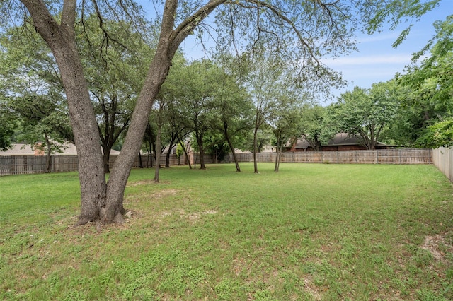 6701 Fish Pond Rd, Waco, TX 76710 - view of yard