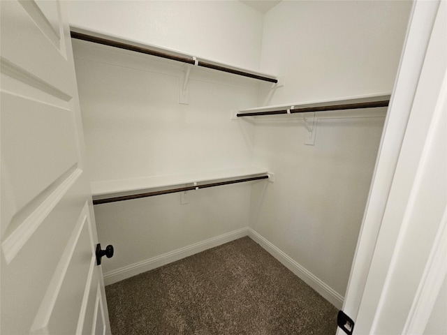 320 Magnolia Ct, Trenton, TX 75490 - spacious closet with carpet floors