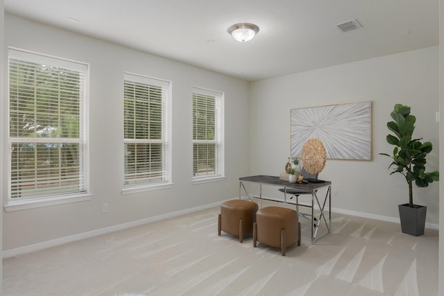 3924 Asbury Ln, Addison, TX 75001 - living area with carpet flooring, baseboards, and plenty of natural light