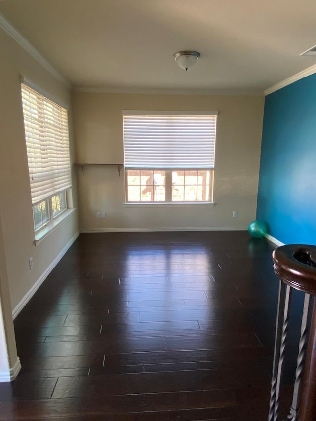 5833 N Silverton Ave, Mckinney, TX 75070 - empty room with ornamental molding, hardwood / wood-style flooring, plenty of natural light, and baseboards