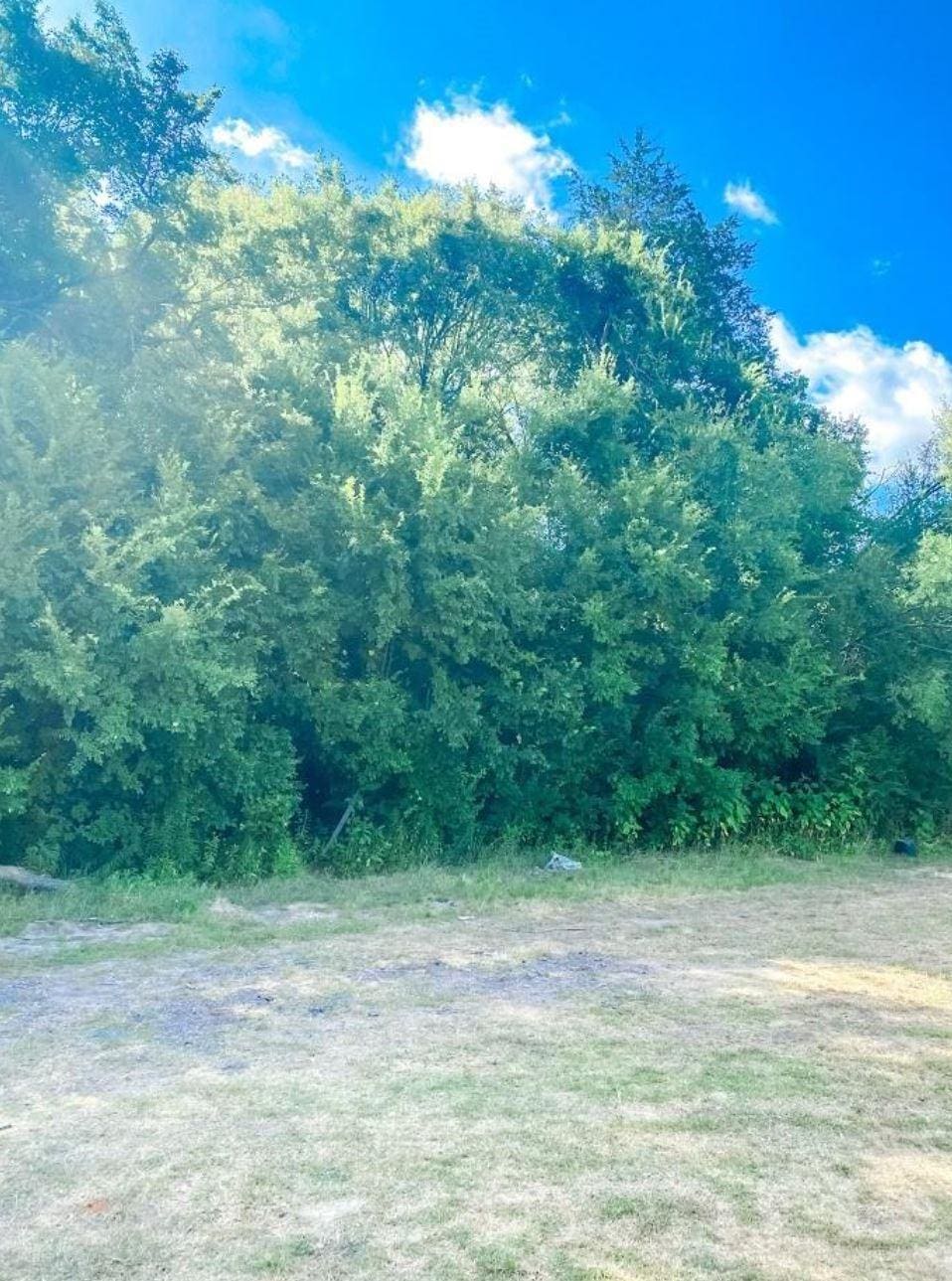TBD Fillmore, Teague, TX 75860