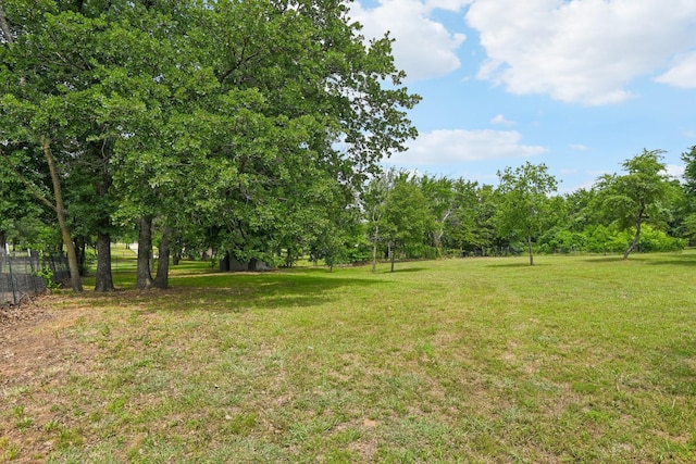 1389 County Road 3591, Paradise, TX 76073 - view of yard