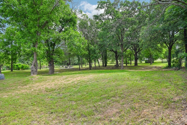 1389 County Road 3591, Paradise, TX 76073 - view of green lawn