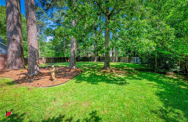 9855 Holamy Ln, Shreveport, LA 71106 - view of yard