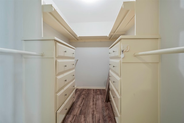 1111 Lupine Dr, Garland, TX 75043 - spacious closet with dark wood-style flooring