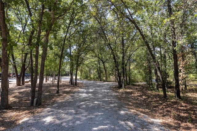 831 Old Justin Rd, Argyle, TX 76226 - view of street with a forest view