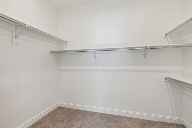 548 Bradley Dr, Fate, TX 75087 - walk in closet with carpet flooring