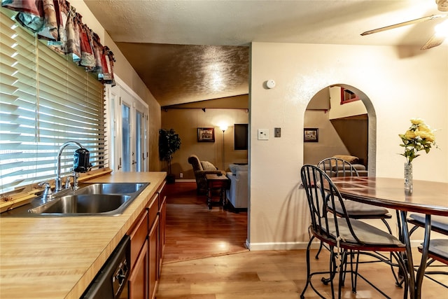 2606 Cedar Elm Ln, Garland, TX 75043 - kitchen featuring a sink, lofted ceiling, light wood-style floors, a ceiling fan, and baseboards