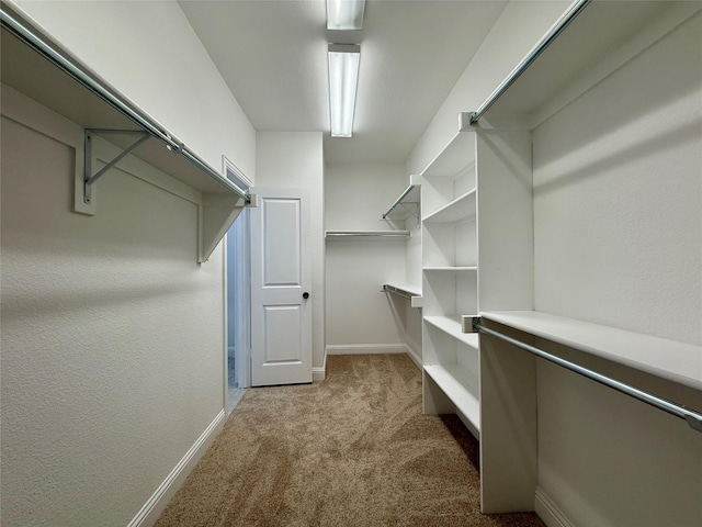 1103 Bantham Way, Forney, TX 75126 - spacious closet with carpet