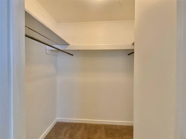 spacious closet with dark carpet