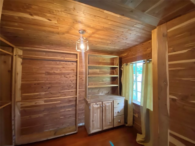 walk in closet with dark wood-type flooring