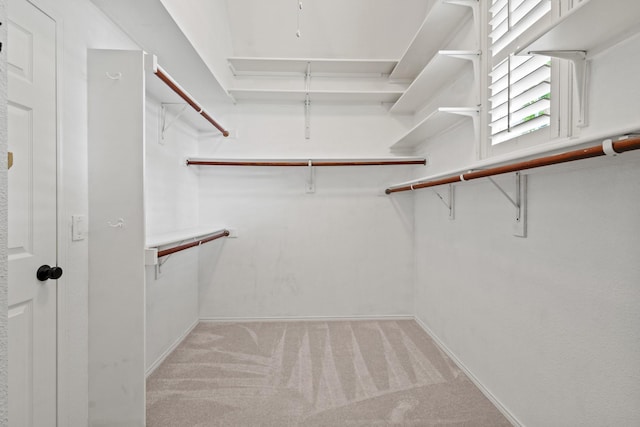 1531 Redeemer Rd, Allen, TX 75002 - walk in closet with carpet flooring