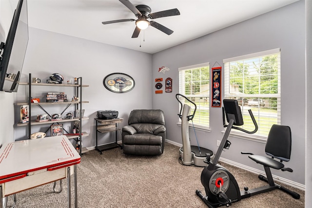 1096 Tupuna Ct, Tool, TX 75143 - workout room with ceiling fan, baseboards, and carpet flooring