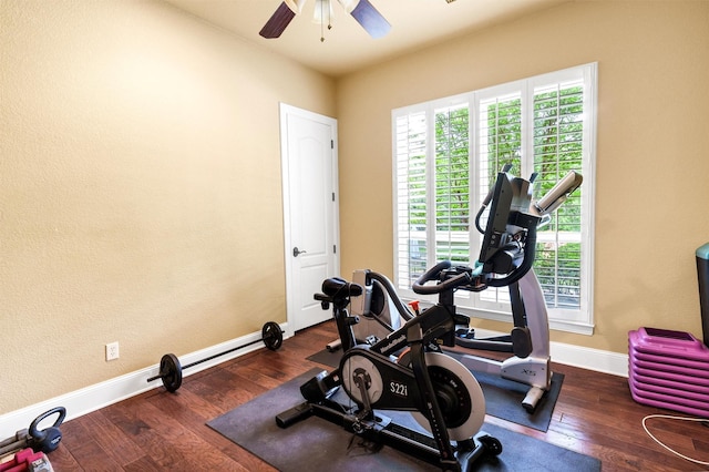 620 Timber Creek Cir, Stephenville, TX 76401 - exercise room with a ceiling fan, healthy amount of natural light, baseboards, and dark wood-style floors