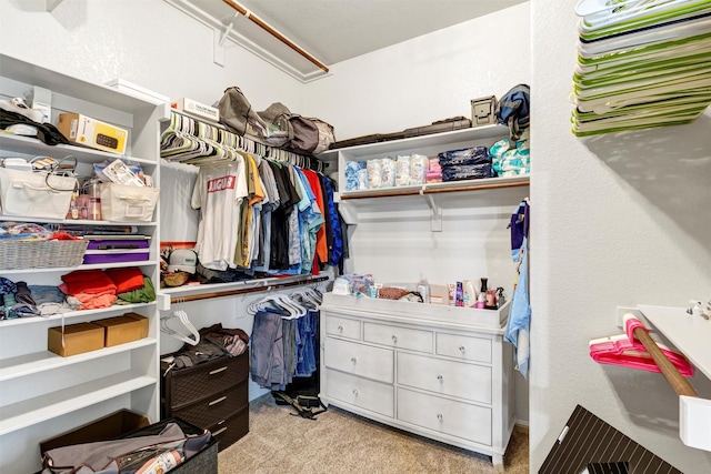 3102 White Horse Ct, Granbury, TX 76049 - walk in closet with carpet floors