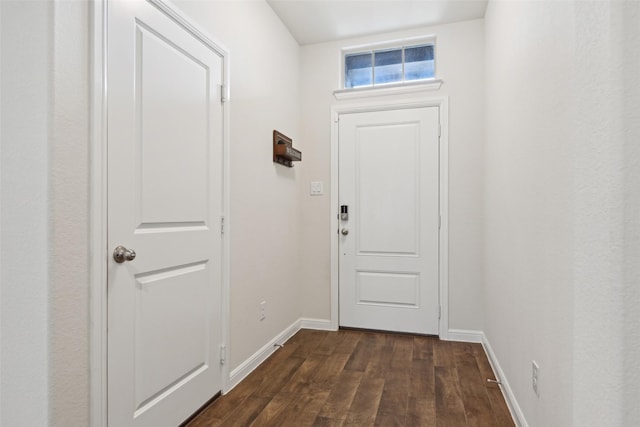 3454 Eloise Ln, Krum, TX 76249 - doorway to outside with dark wood-style floors and baseboards