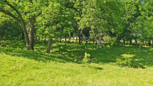 LOT2TBD Caraway St, Granbury, TX 76048