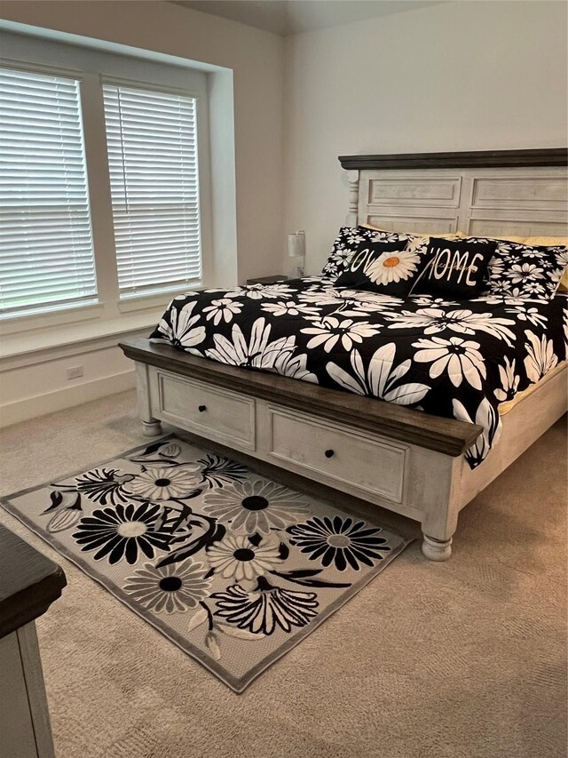 1812 Horseshoe Ln, Van Alstyne, TX 75495 - view of carpeted bedroom