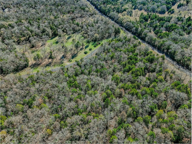 132 Lincoln Dr, Streetman, TX 75859