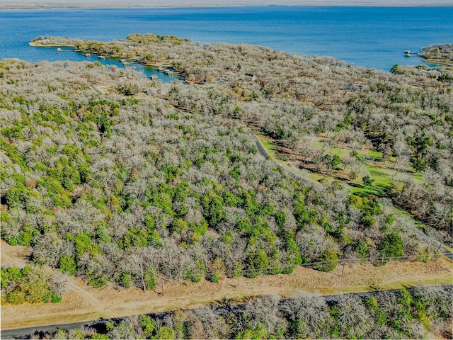 132 Lincoln Dr, Streetman, TX 75859