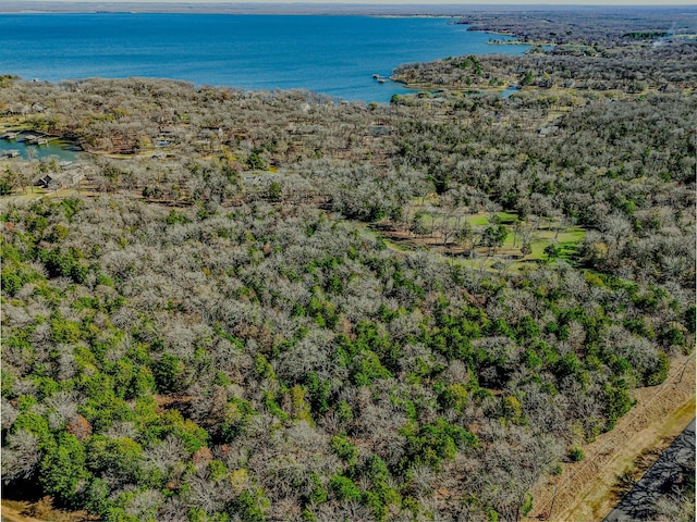 132 Lincoln Dr, Streetman, TX 75859