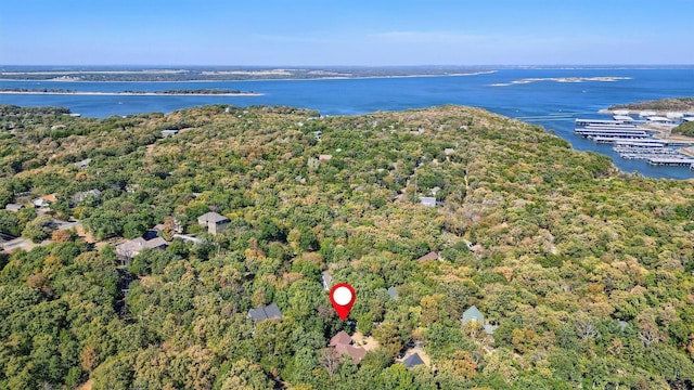 118 Hacienda Dr, Pottsboro, TX 75076 - bird's eye view of a large body of water and a forest