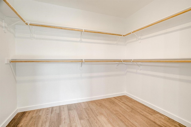 171 Tryall Ct, Runaway Bay, TX 76426 - walk in closet featuring light wood-style flooring