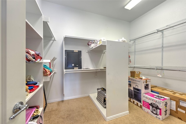 319 Paloverde Ln, Frisco, TX 75036 - walk in closet with carpet