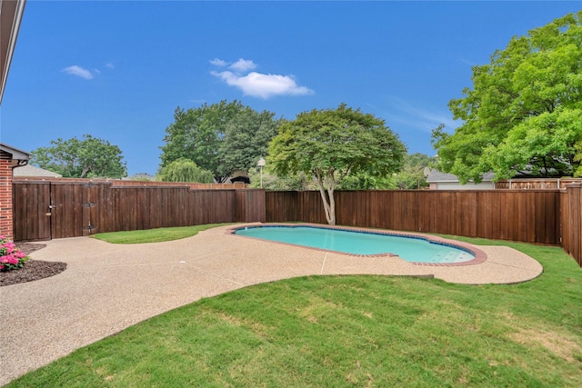 1529 Harvest Run Dr, Allen, TX 75002 - view of swimming pool with a patio