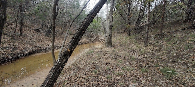 1113 County Road 407, Nemo, TX 76070
