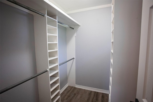 1413 Oak Hills Dr, Graham, TX 76450 - spacious closet featuring dark wood-style floors