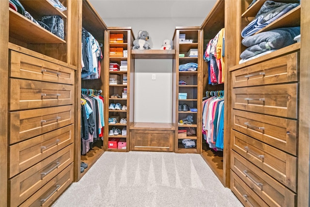 12570 County Road 313, Tyler, TX 75708 - spacious closet featuring carpet floors