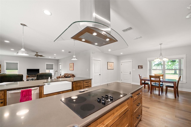 12570 County Road 313, Tyler, TX 75708 - kitchen featuring dishwasher, a sink, black electric cooktop, ceiling fan, and brown cabinetry