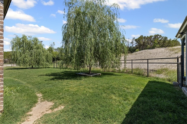101 Cedar Mountain Dr, Weatherford, TX 76085 - view of yard