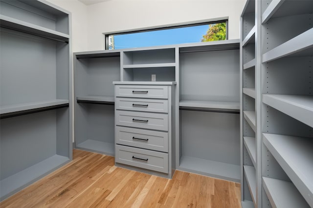walk in closet with light wood-style floors