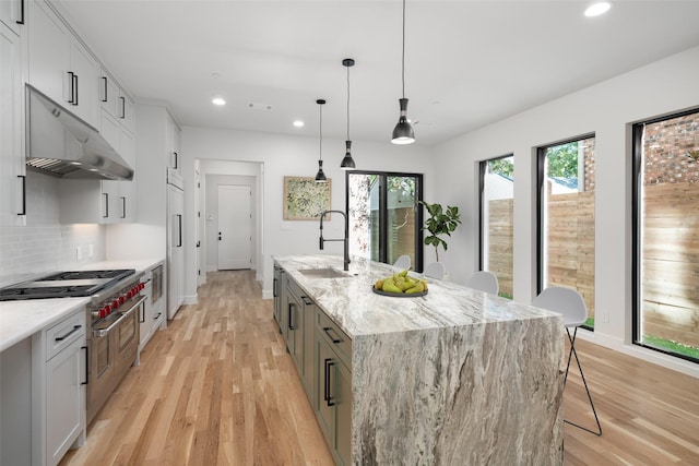 3512 Asbury St, University Park, TX 75205 - kitchen with under cabinet range hood, a sink, appliances with stainless steel finishes, recessed lighting, and plenty of natural light