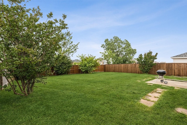 202 Freedom Trl, Forney, TX 75126 - view of yard
