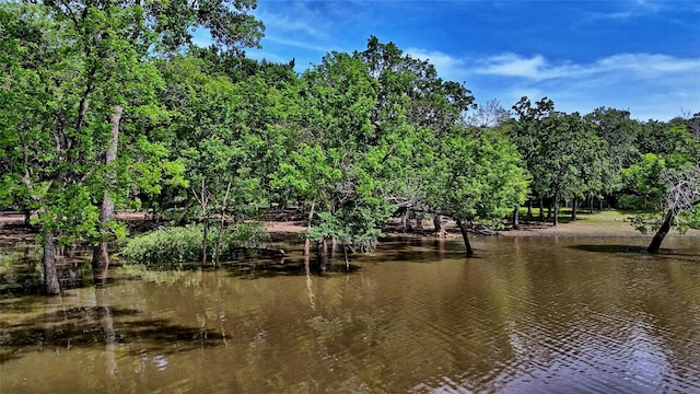 TBD Selma Rd, Bowie, TX 76230