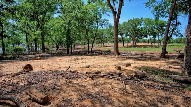 TBD Selma Rd, Bowie, TX 76230