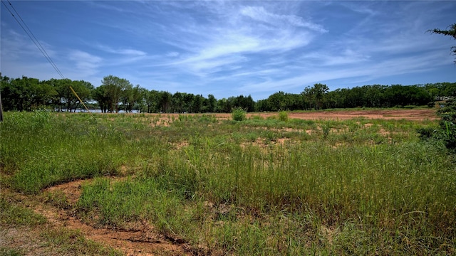 TBD Selma Rd, Bowie, TX 76230