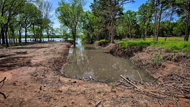 TBD Selma Rd, Bowie, TX 76230