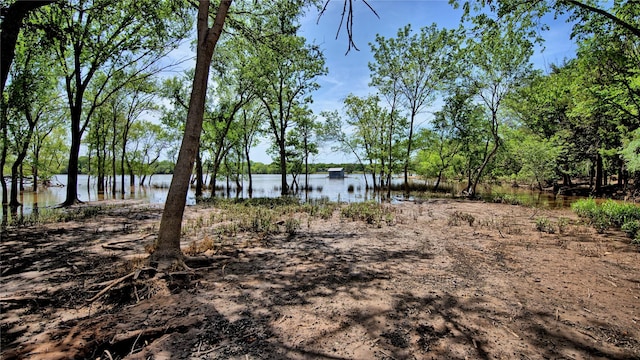 TBD Selma Rd, Bowie, TX 76230