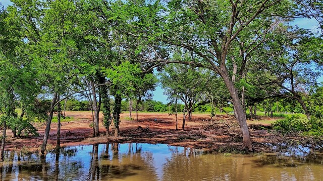 TBD Selma Rd, Bowie, TX 76230