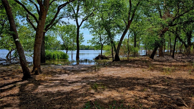 TBD Selma Rd, Bowie, TX 76230
